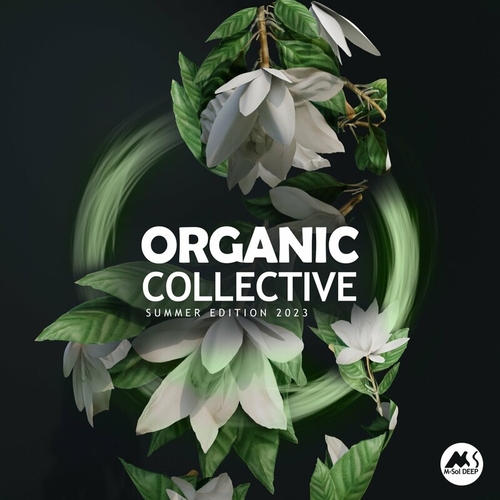 VA - Organic Collective [MSR201]